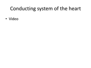 Conducting system of the heart
• Video
 