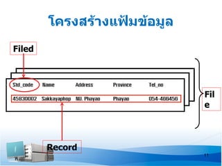โครงสร้างแฟ้มข้อมูล
Filed




                              Fil
                              e



        Record
                              11
 