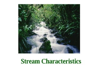 Stream Characteristics 