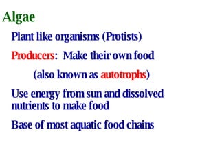 Algae Plant like organisms (Protists) Producers :  Make their own food (also known as  autotrophs ) Use energy from sun and dissolved nutrients to make food Base of most aquatic food chains 