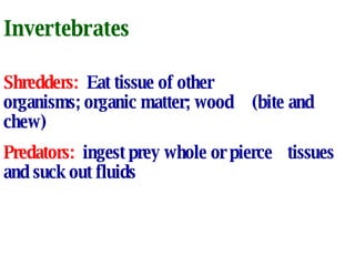 Invertebrates Shredders:   Eat tissue of other  organisms; organic matter; wood (bite and chew)  Predators:   ingest prey whole or pierce tissues and suck out fluids 