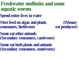 Freshwater mollusks and some aquatic worms  Spend entire lives in water Most feed on algae and plants (Primary consumers, herbivores eat producers) Some eat other animals  (Secondary consumers, carnivores) Some eat both plants and animals (Secondary consumers, omnivores) 
