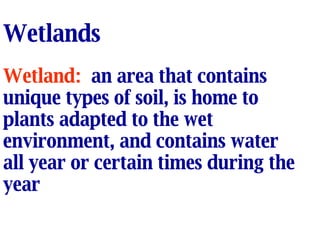 Wetlands Wetland:   an area that contains unique types of soil, is home to plants adapted to the wet environment, and contains water all year or certain times during the year 
