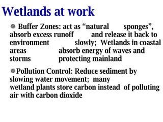 Wetlands at work Buffer Zones: act as “natural  sponges”, absorb excess runoff and release it back to environment  slowly;  Wetlands in coastal areas absorb energy of waves and storms protecting mainland Pollution Control: Reduce sediment by  slowing water movement;  many  wetland plants store carbon instead of polluting air with carbon dioxide 