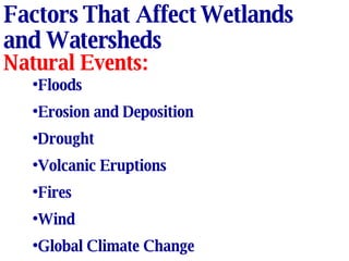 Factors That Affect Wetlands and Watersheds Natural Events: Floods Erosion and Deposition Drought Volcanic Eruptions Fires Wind Global Climate Change 