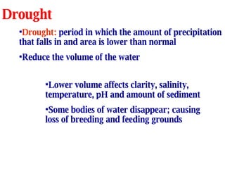 Drought Drought:  period in which the amount of precipitation that falls in and area is lower than normal Reduce the volume of the water Lower volume affects clarity, salinity, temperature, pH and amount of sediment Some bodies of water disappear; causing loss of breeding and feeding grounds 