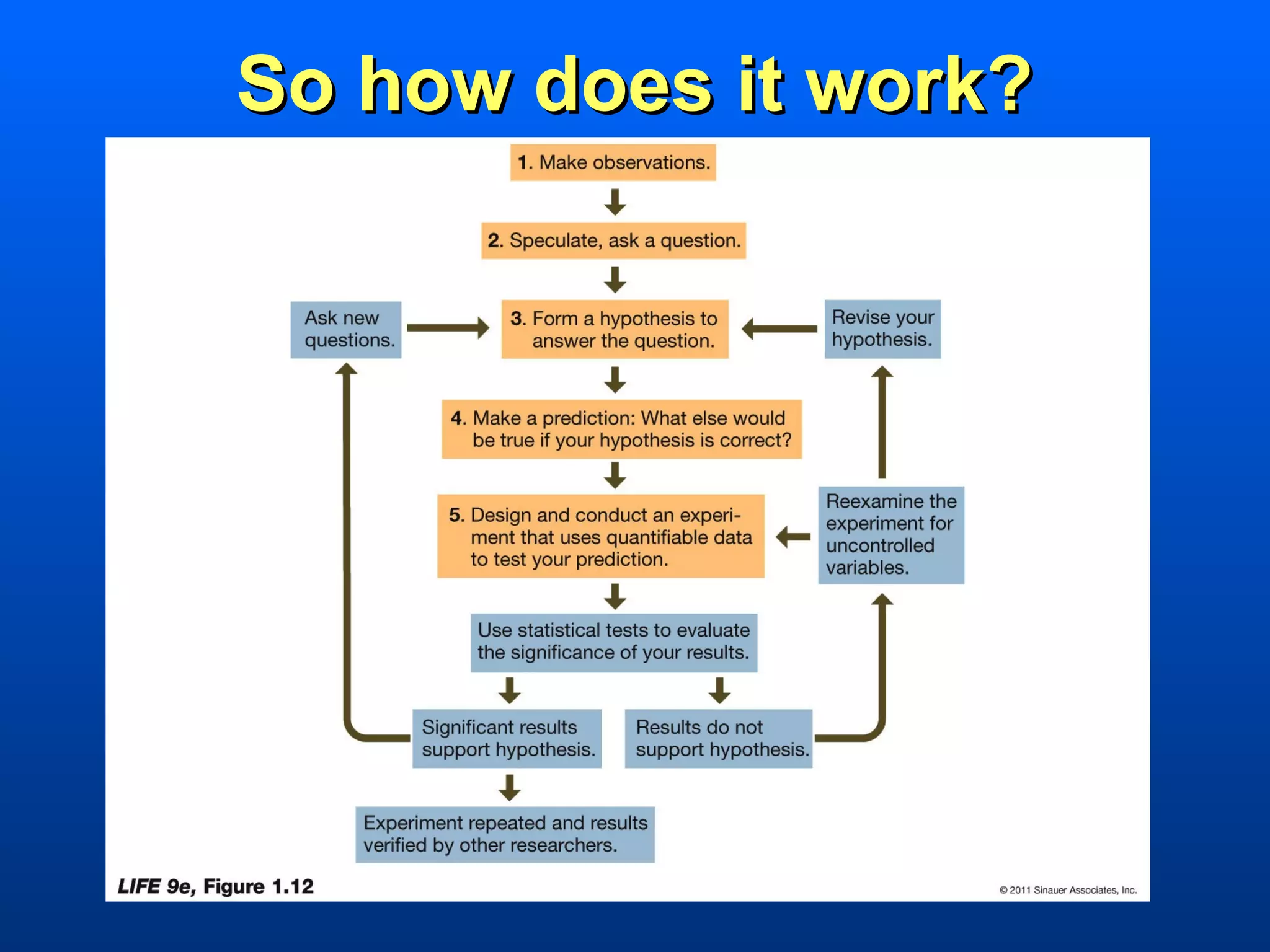 So how does it work?
 