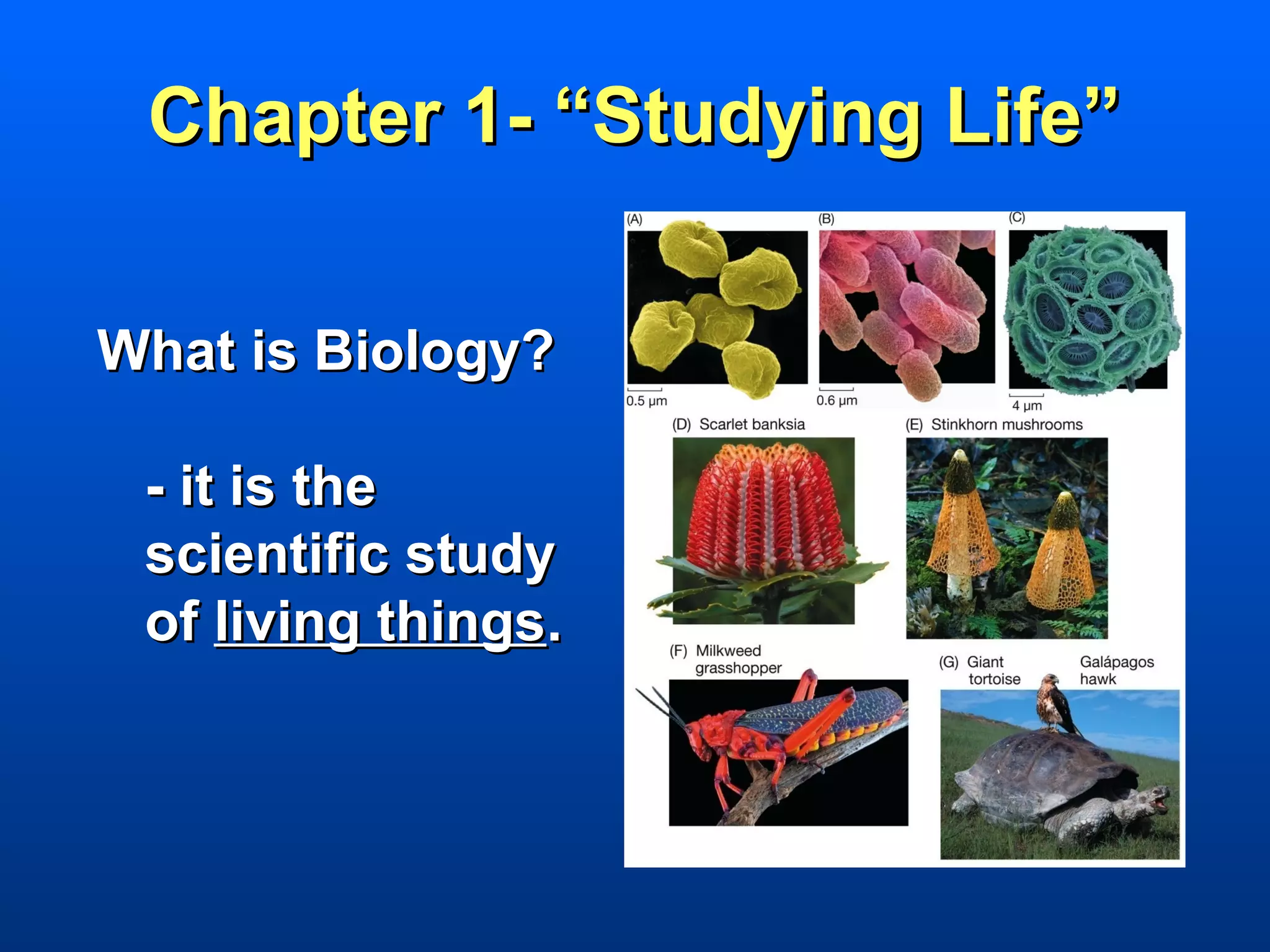 Chapter 1- “Studying Life”

What is Biology?

 - it is the
 scientific study
 of living things.
 