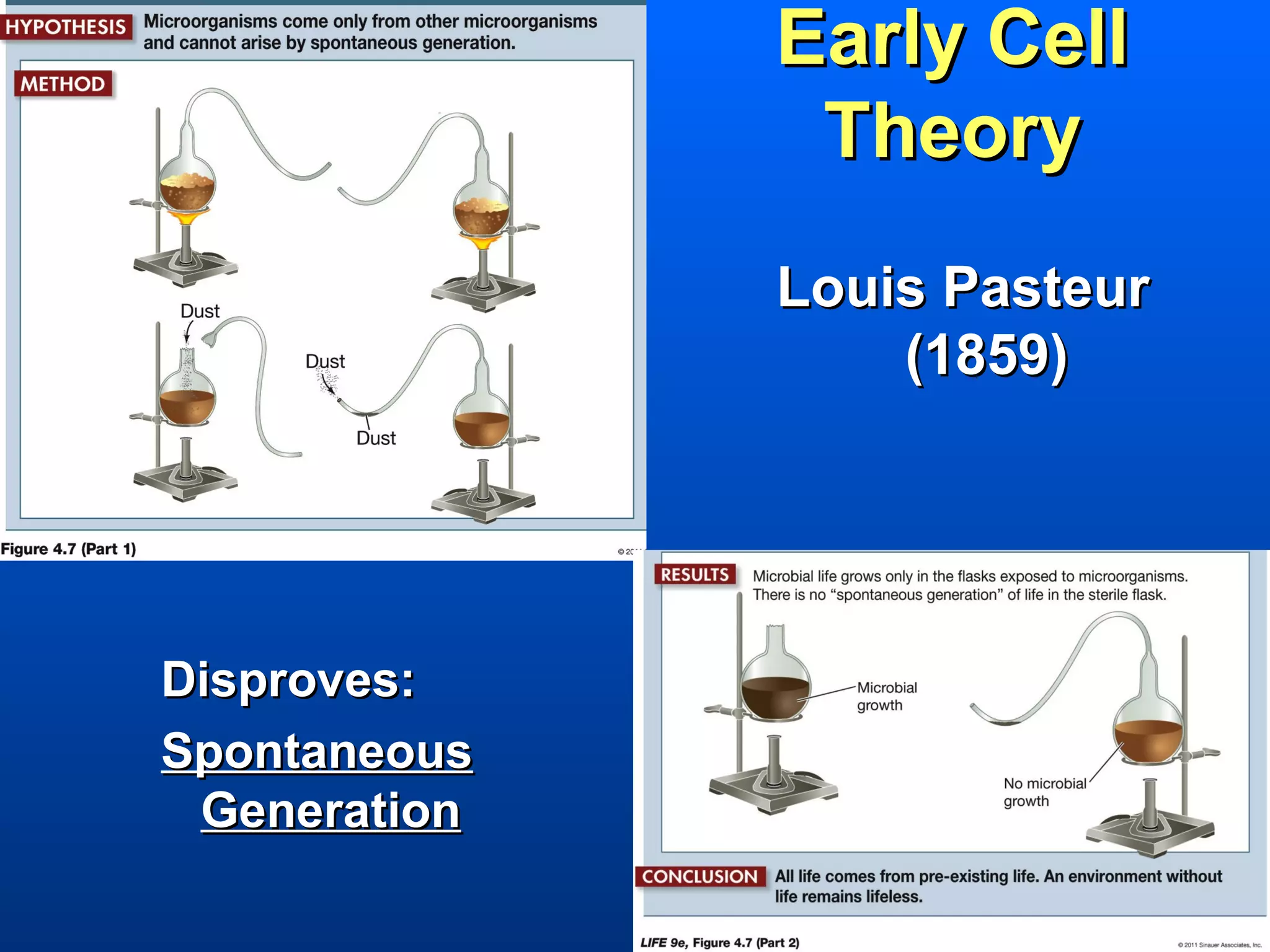 Early Cell
               Theory
              Louis Pasteur
                  (1859)




Disproves:
Spontaneous
 Generation
 