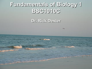 Fundamentals of Biology 1
      BSC1010C
       Dr. Rick Dexter
 
