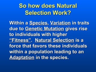 So how does Natural
      Selection Work?
Within a Species, Variation in traits
due to Genetic Mutation gives rise
to individuals with higher
“Fitness”. Natural Selection is a
force that favors these individuals
within a population leading to an
Adaptation in the species.
 