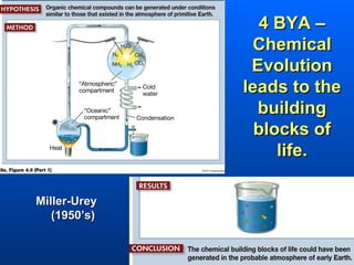 4 BYA –
               Chemical
               Evolution
              leads to the
                building
                blocks of
                   life.

Miller-Urey
   (1950’s)
 