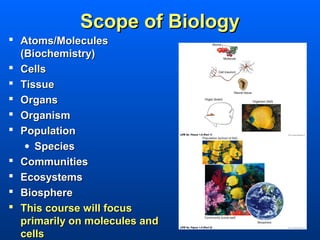 Scope of Biology
 Atoms/Molecules
  (Biochemistry)
 Cells
 Tissue
 Organs
 Organism
 Population
   • Species
 Communities
 Ecosystems
 Biosphere
 This course will focus
  primarily on molecules and
  cells
 