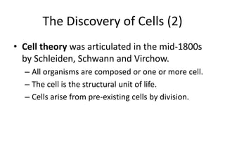 The Discovery of Cells (2)
• Cell theory was articulated in the mid-1800s
  by Schleiden, Schwann and Virchow.
  – All organisms are composed or one or more cell.
  – The cell is the structural unit of life.
  – Cells arise from pre-existing cells by division.
 