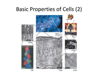 Basic Properties of Cells (2)
 