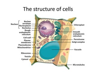 The structure of cells
 
