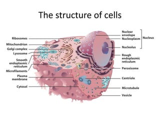 The structure of cells
 