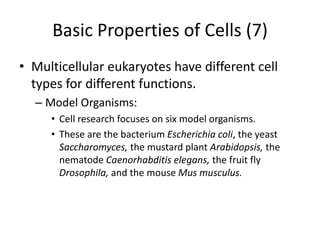 Basic Properties of Cells (7)
• Multicellular eukaryotes have different cell
  types for different functions.
  – Model Organisms:
     • Cell research focuses on six model organisms.
     • These are the bacterium Escherichia coli, the yeast
       Saccharomyces, the mustard plant Arabidopsis, the
       nematode Caenorhabditis elegans, the fruit fly
       Drosophila, and the mouse Mus musculus.
 