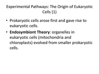 Experimental Pathways: The Origin of Eukaryotic
                  Cells (1)
• Prokaryotic cells arose first and gave rise to
  eukaryotic cells.
• Endosymbiont Theory: organelles in
  eukaryotic cells (mitochondria and
  chloroplasts) evolved from smaller prokaryotic
  cells.
 