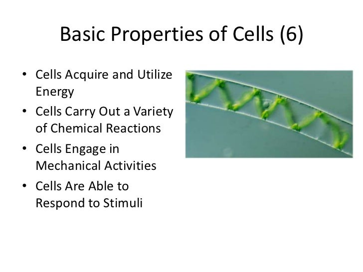 Chapter 1 cell biology intro cell