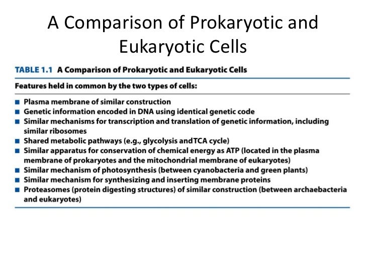 Prokaryotic