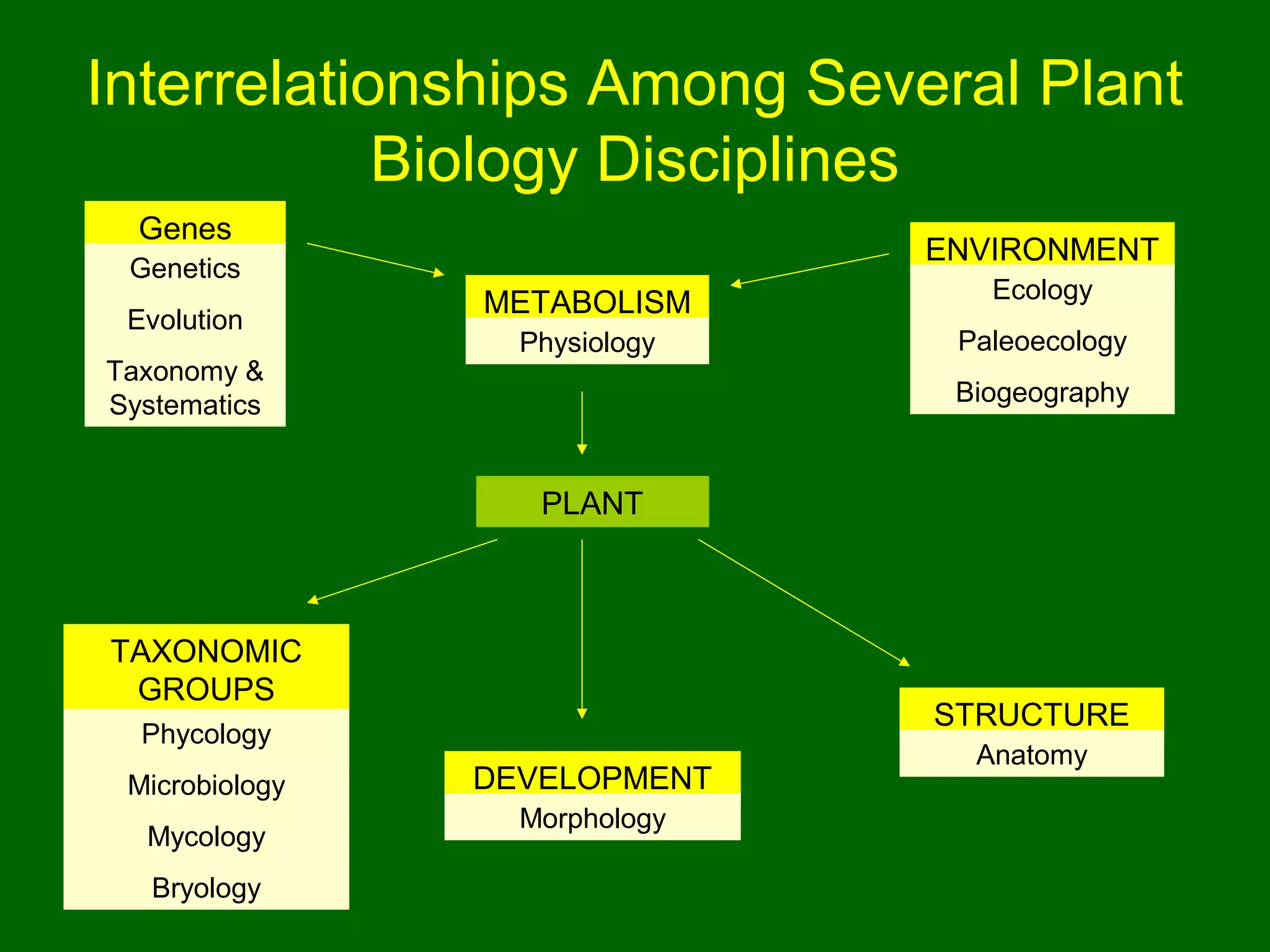 Interrelationships Among Several Plant
            Biology Disciplines
  Genes
                               ENVIRONMENT
 Genetics
                METABOLISM        Ecology
 Evolution
                  Physiology    Paleoecology
Taxonomy &
Systematics                     Biogeography


                   PLANT



TAXONOMIC
 GROUPS
                               STRUCTURE
  Phycology
                                 Anatomy
 Microbiology   DEVELOPMENT
                  Morphology
  Mycology
   Bryology
 