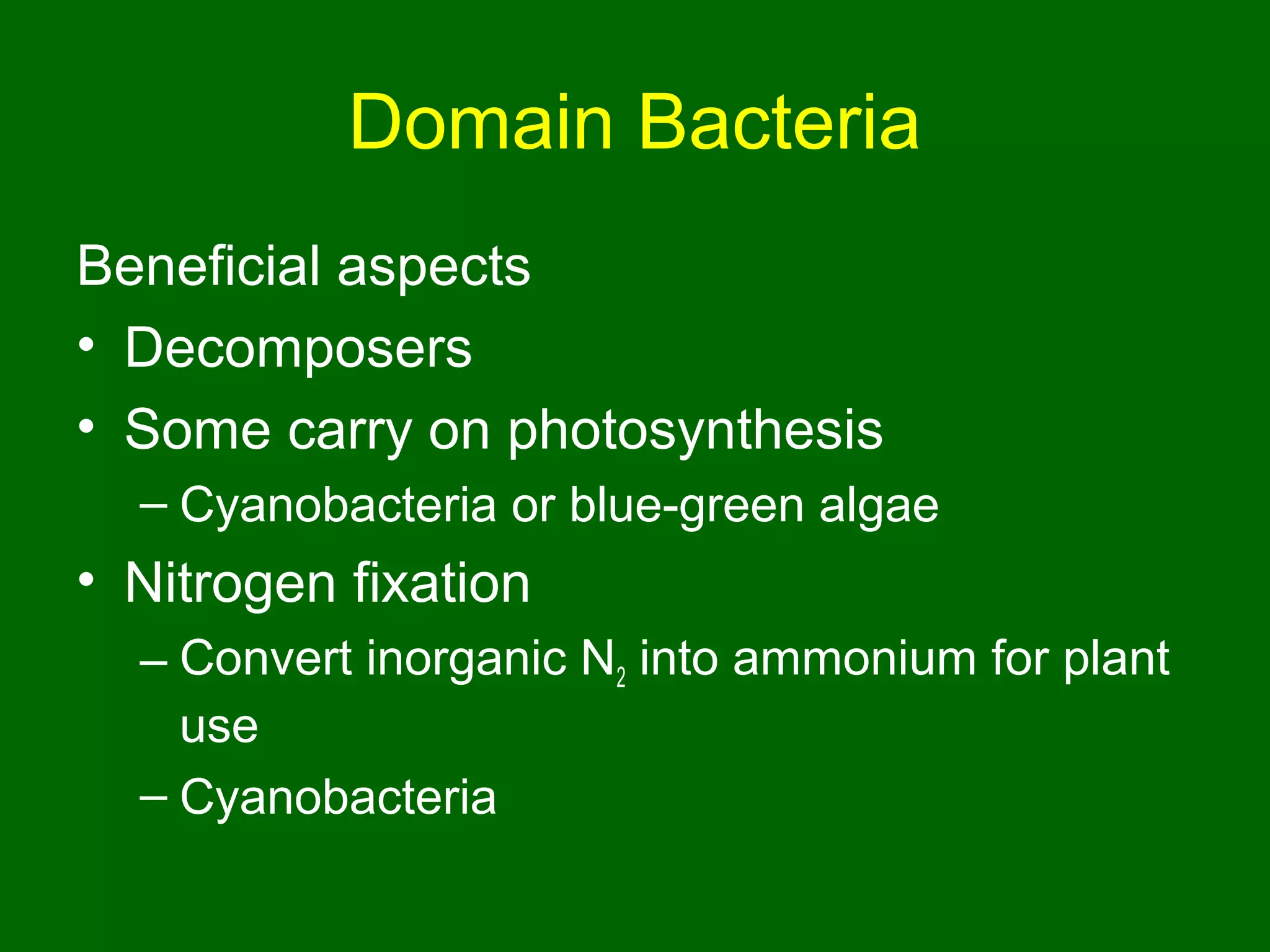 Domain Bacteria
Beneficial aspects
• Decomposers
• Some carry on photosynthesis
  – Cyanobacteria or blue-green algae
• Nitrogen fixation
  – Convert inorganic N2 into ammonium for plant
    use
  – Cyanobacteria
 