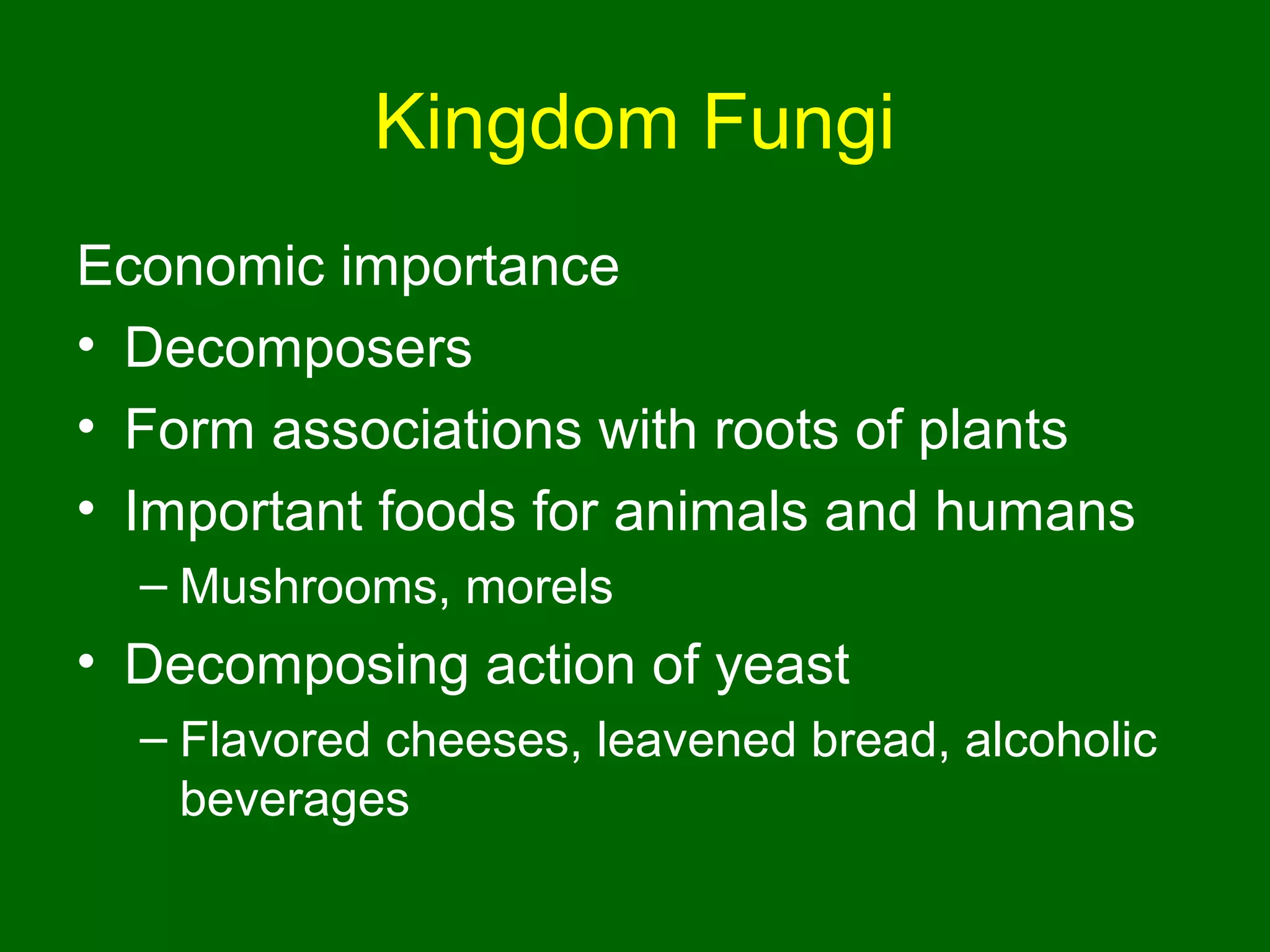 Kingdom Fungi
Economic importance
• Decomposers
• Form associations with roots of plants
• Important foods for animals and humans
  – Mushrooms, morels
• Decomposing action of yeast
  – Flavored cheeses, leavened bread, alcoholic
    beverages
 