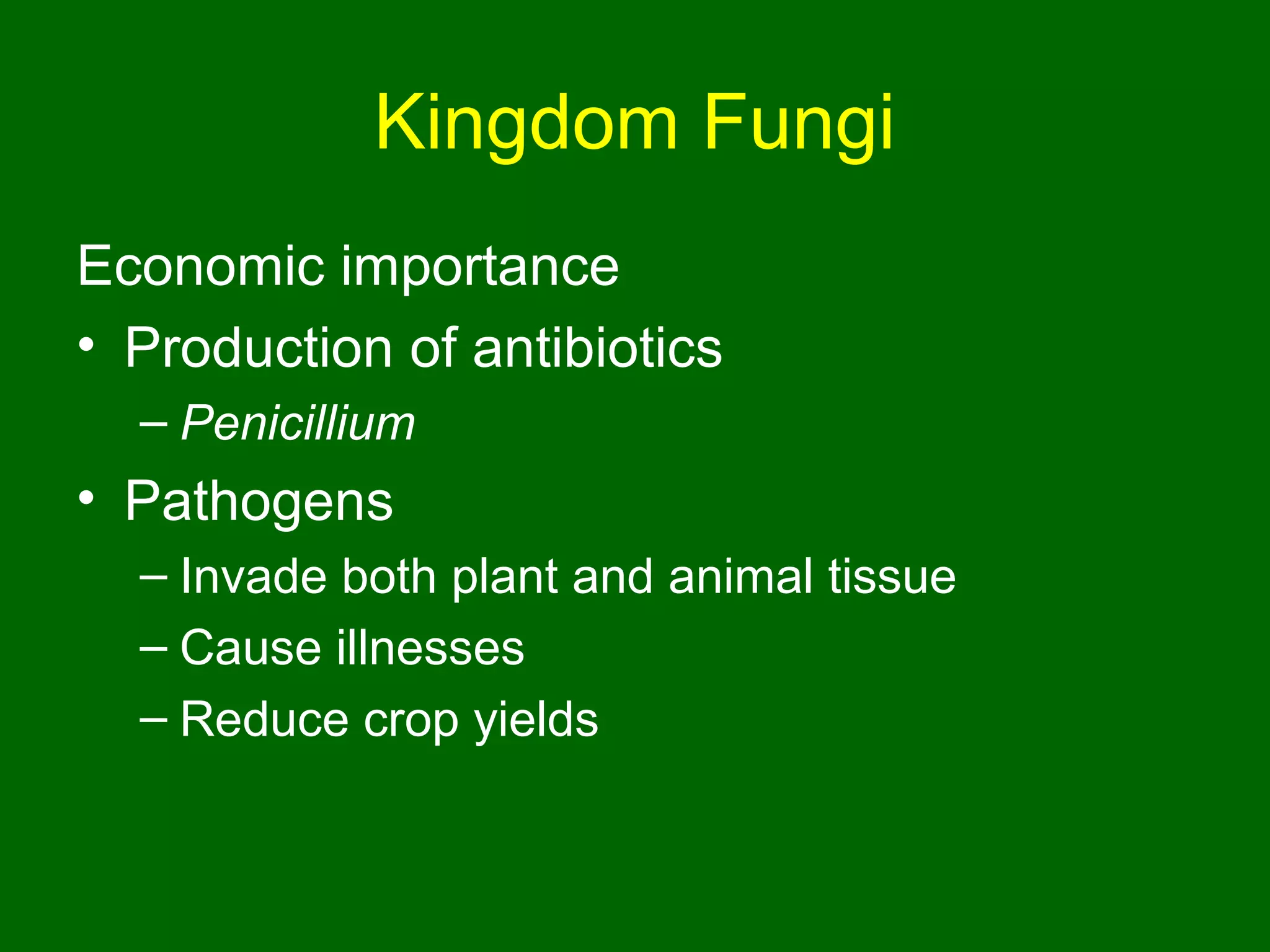 Kingdom Fungi
Economic importance
• Production of antibiotics
  – Penicillium
• Pathogens
  – Invade both plant and animal tissue
  – Cause illnesses
  – Reduce crop yields
 