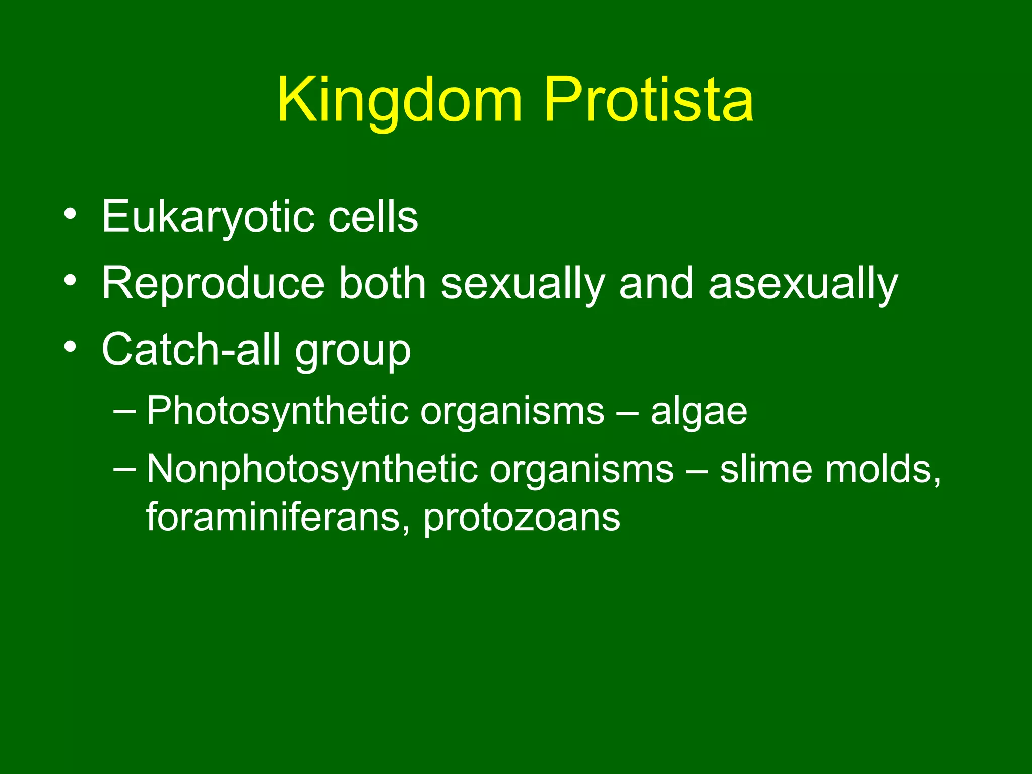 Kingdom Protista
• Eukaryotic cells
• Reproduce both sexually and asexually
• Catch-all group
  – Photosynthetic organisms – algae
  – Nonphotosynthetic organisms – slime molds,
    foraminiferans, protozoans
 