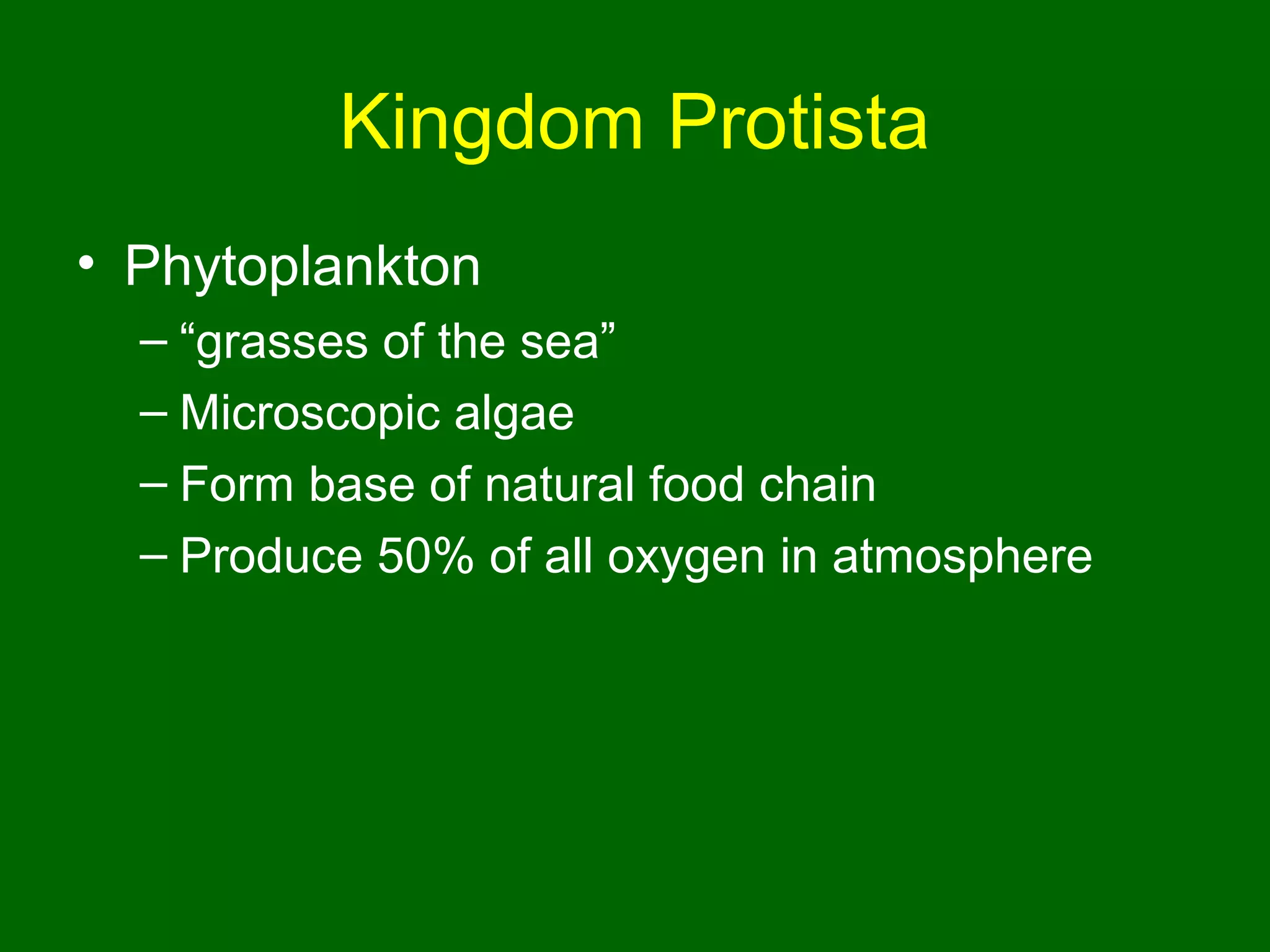 Kingdom Protista
• Phytoplankton
  – “grasses of the sea”
  – Microscopic algae
  – Form base of natural food chain
  – Produce 50% of all oxygen in atmosphere
 