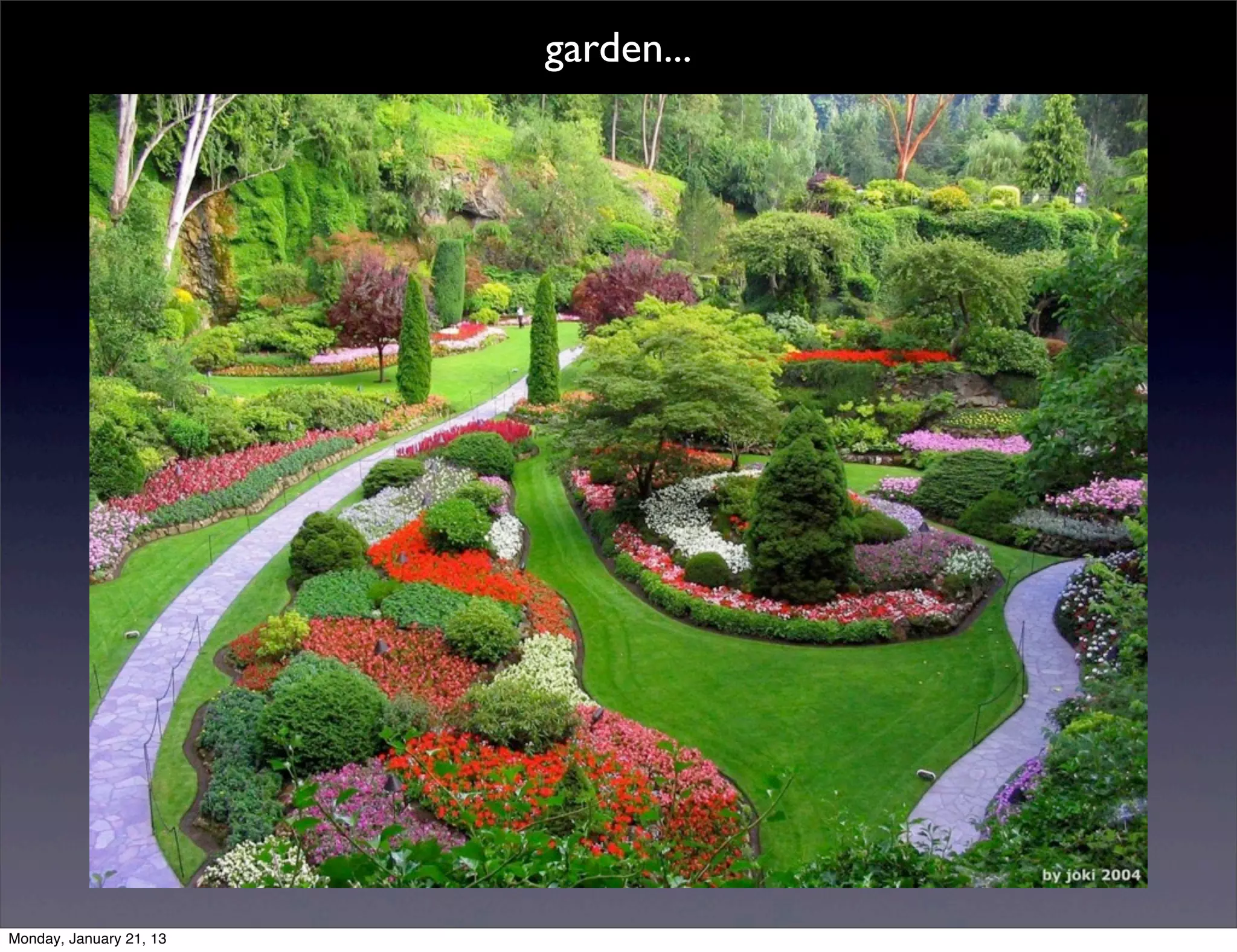 garden...
 