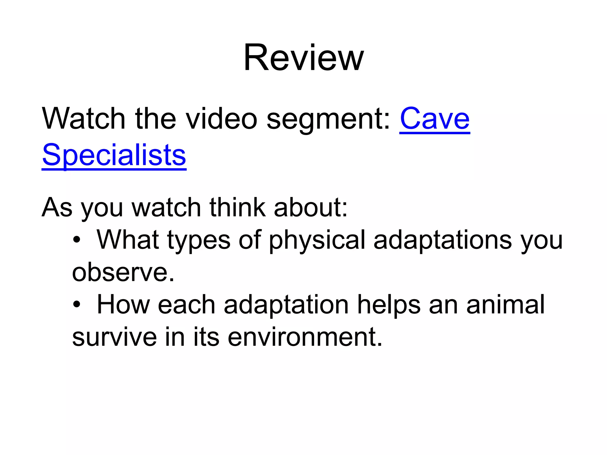 Review
Watch the video segment: Cave
Specialists
As you watch think about:
  • What types of physical adaptations you
  observe.
  • How each adaptation helps an animal
  survive in its environment.
 