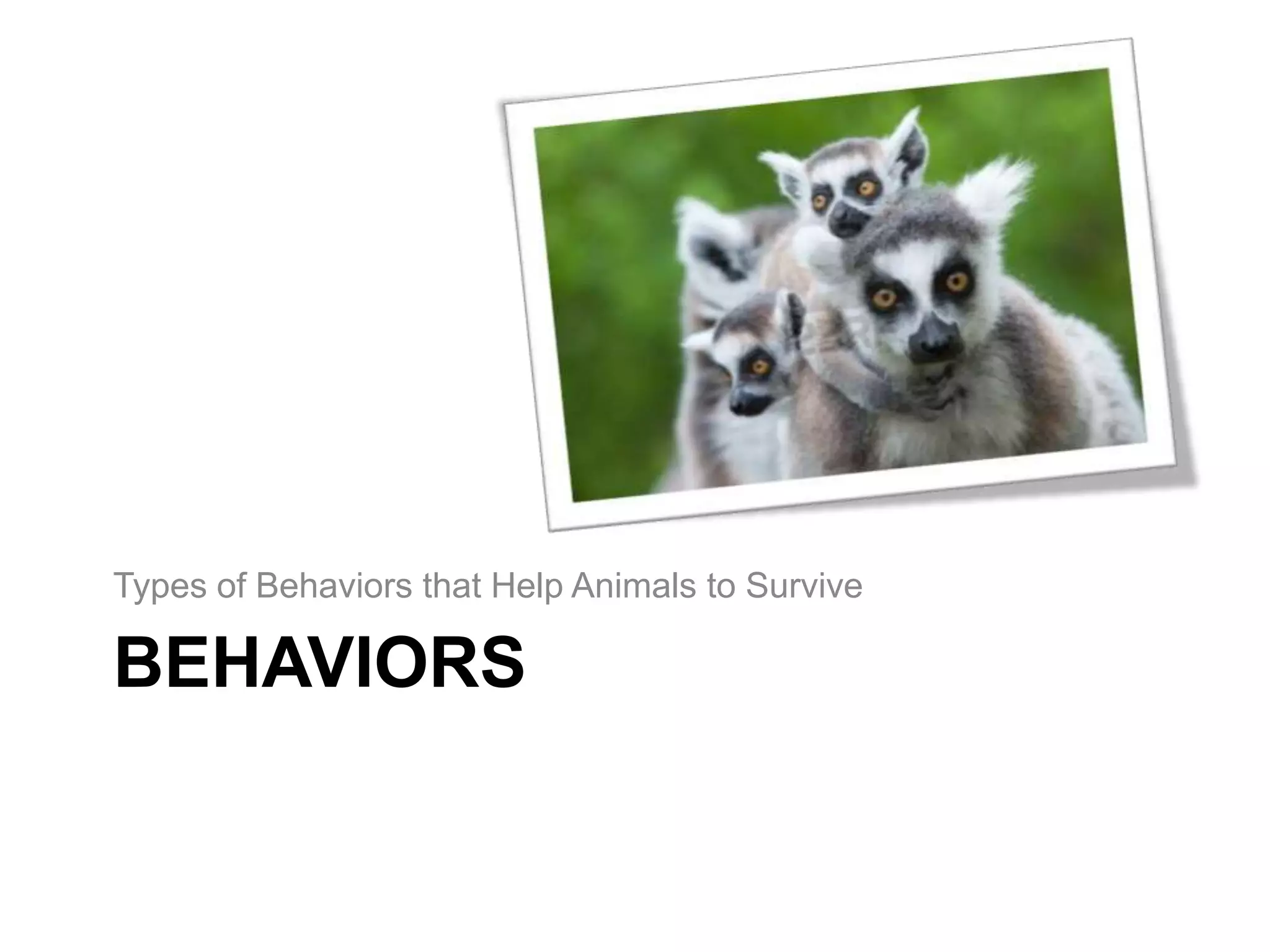 Types of Behaviors that Help Animals to Survive

BEHAVIORS
 