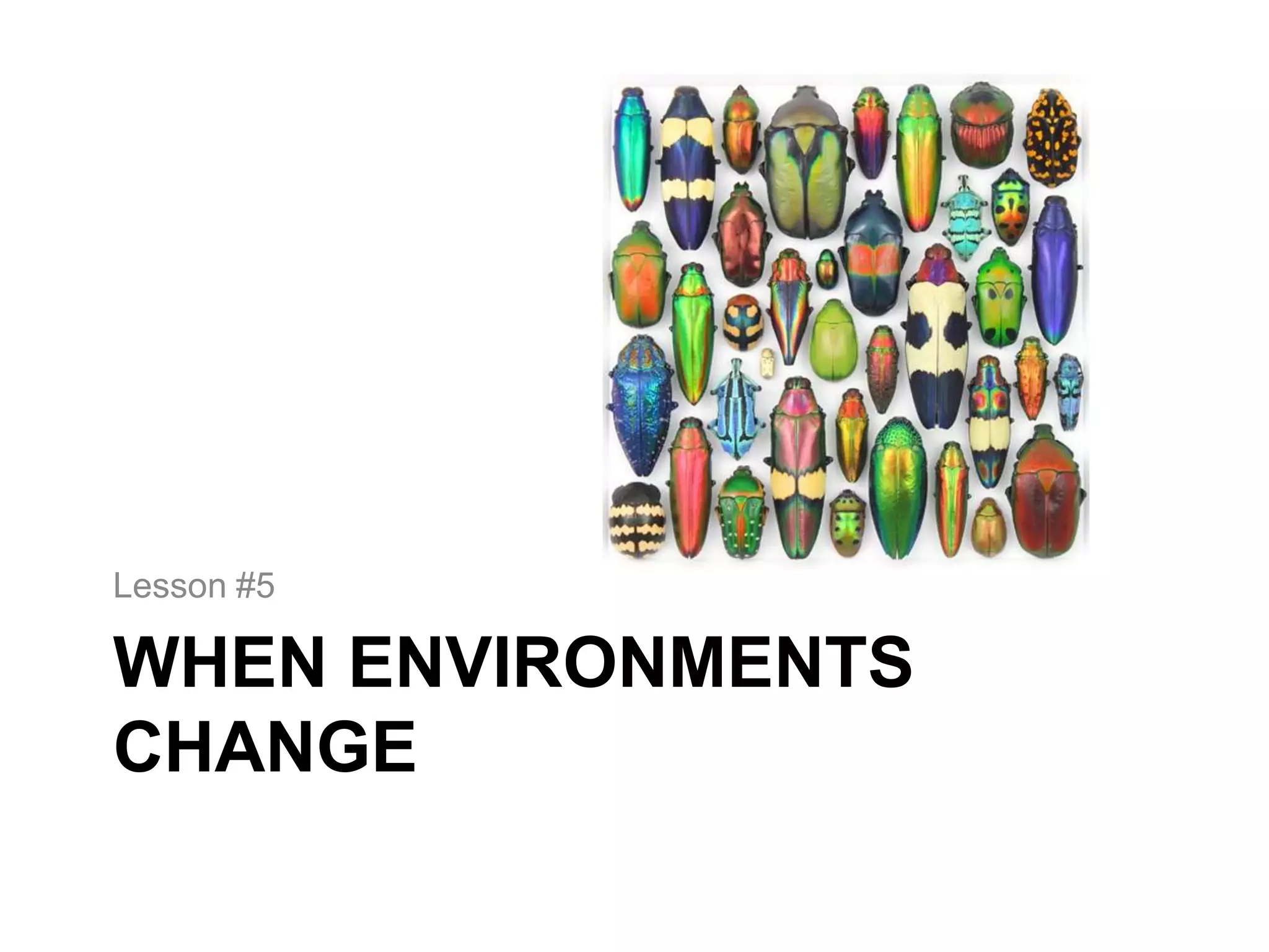 Lesson #5

WHEN ENVIRONMENTS
CHANGE
 