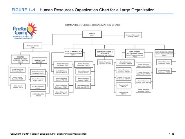 Pearson Organizational Chart