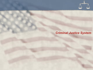 Criminal Justice System
 