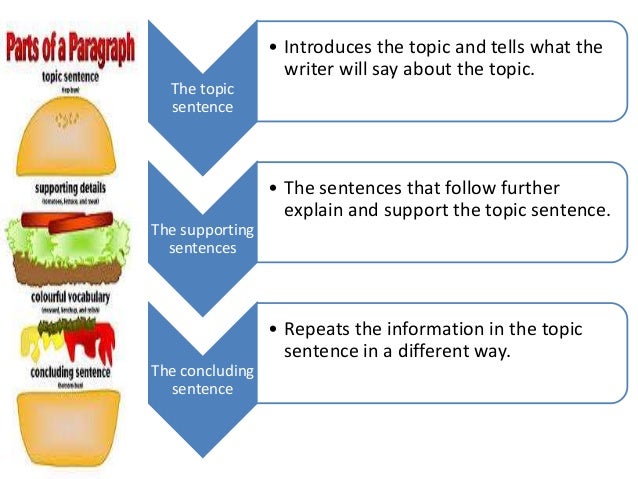 paragraph organization