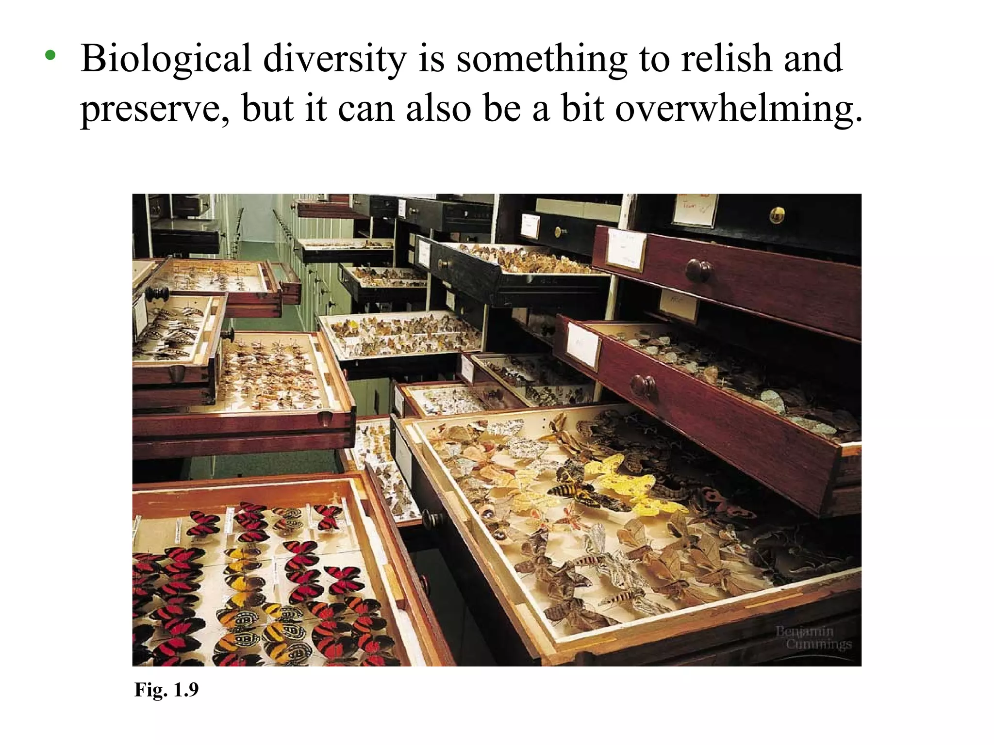 • Biological diversity is something to relish and
preserve, but it can also be a bit overwhelming.
Fig. 1.9
 