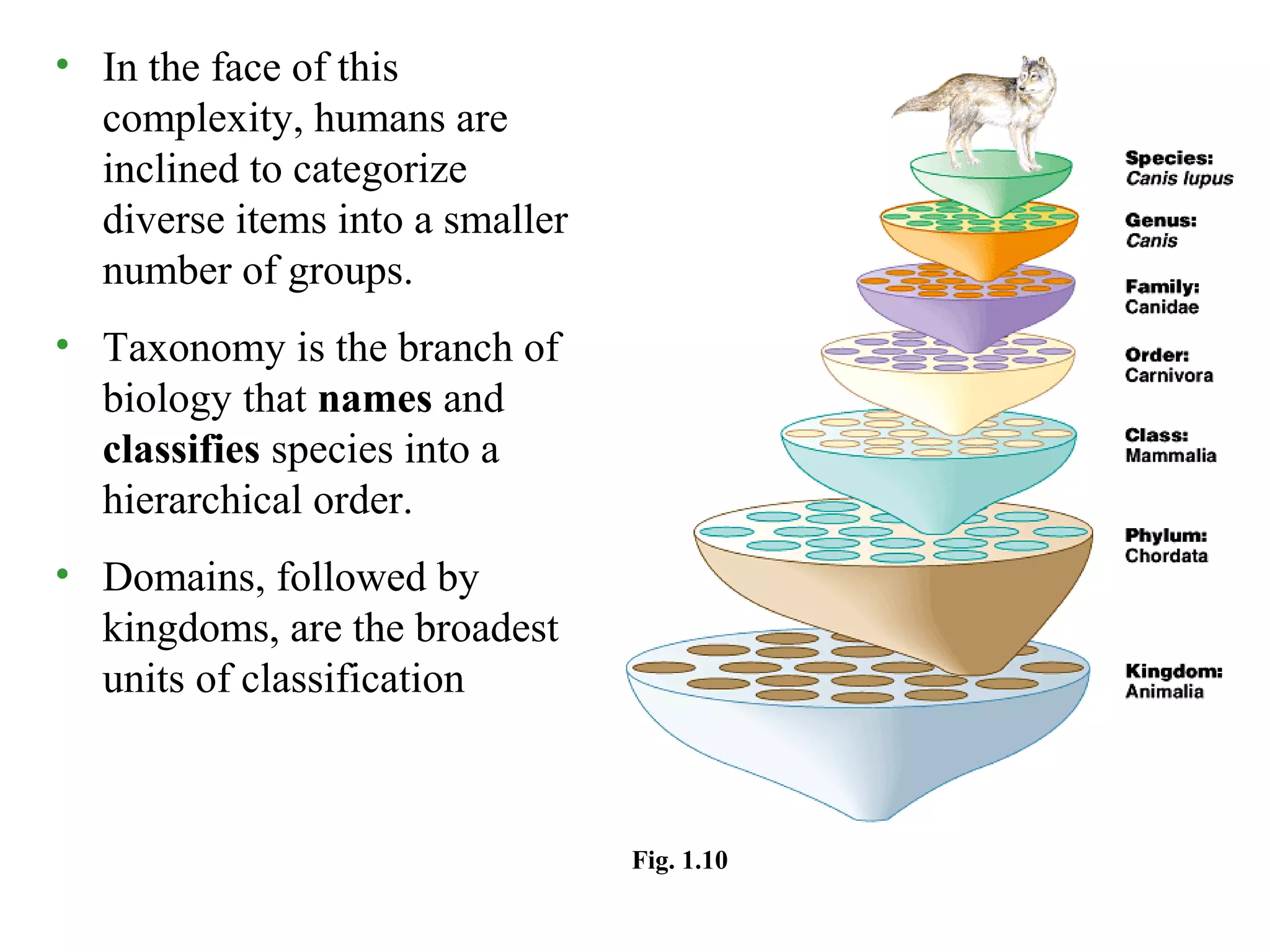 • In the face of this
complexity, humans are
inclined to categorize
diverse items into a smaller
number of groups.
• Taxonomy is the branch of
biology that names and
classifies species into a
hierarchical order.
• Domains, followed by
kingdoms, are the broadest
units of classification
Fig. 1.10
 
