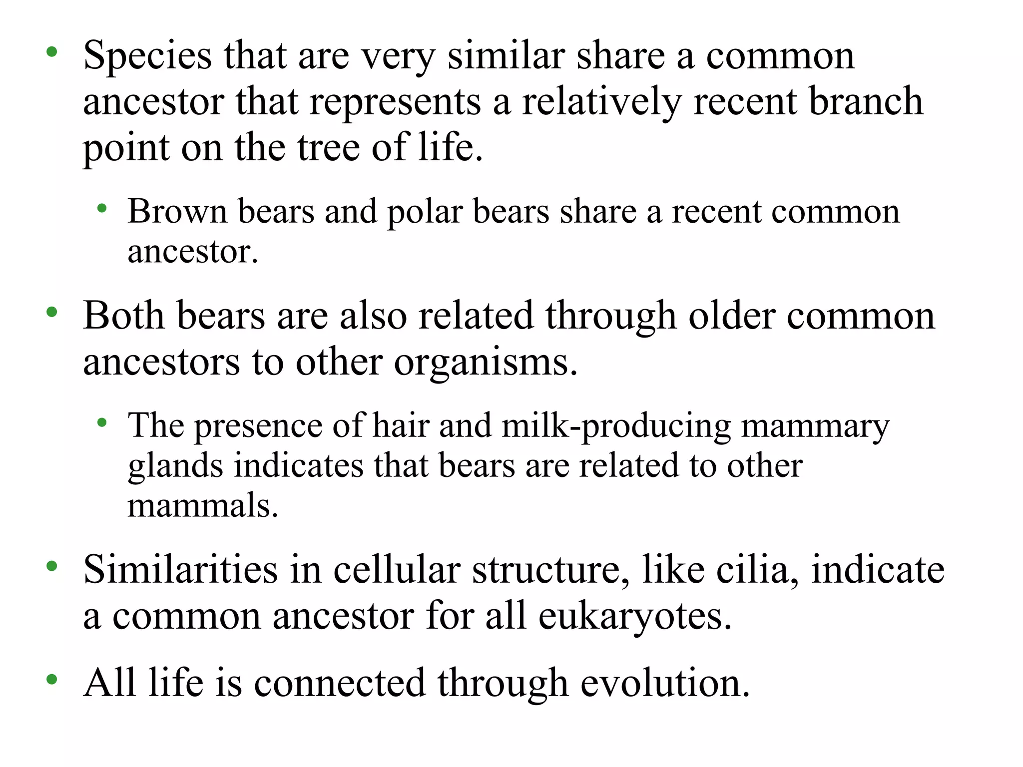 • Species that are very similar share a common
ancestor that represents a relatively recent branch
point on the tree of life.
• Brown bears and polar bears share a recent common
ancestor.
• Both bears are also related through older common
ancestors to other organisms.
• The presence of hair and milk-producing mammary
glands indicates that bears are related to other
mammals.
• Similarities in cellular structure, like cilia, indicate
a common ancestor for all eukaryotes.
• All life is connected through evolution.
 