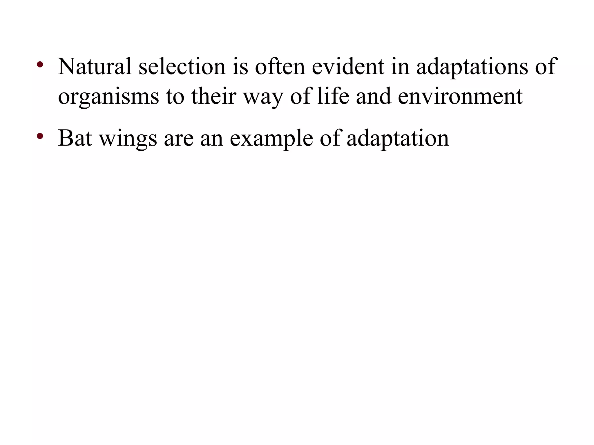 • Natural selection is often evident in adaptations of
organisms to their way of life and environment
• Bat wings are an example of adaptation
 