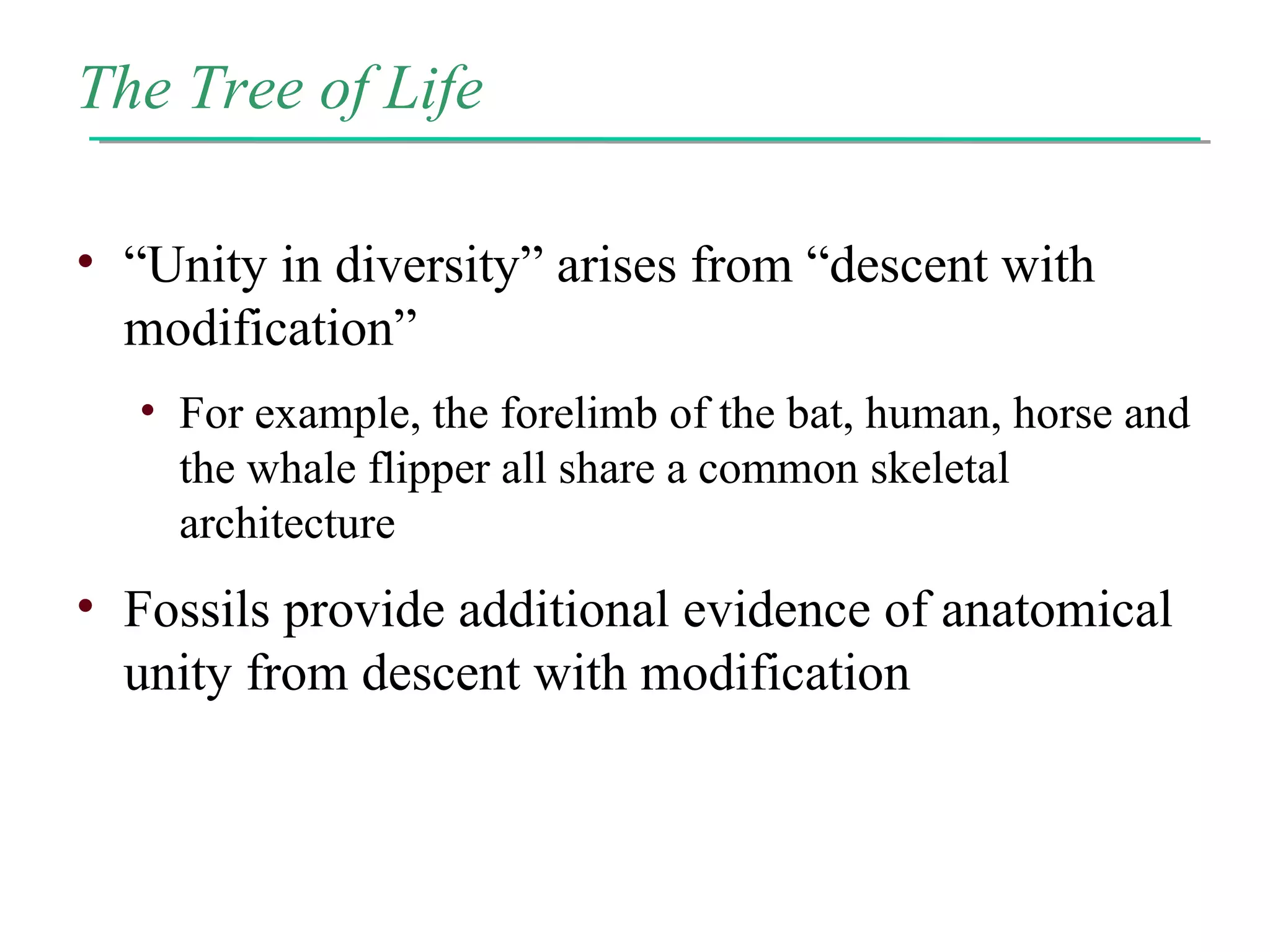 The Tree of Life
• “Unity in diversity” arises from “descent with
modification”
• For example, the forelimb of the bat, human, horse and
the whale flipper all share a common skeletal
architecture
• Fossils provide additional evidence of anatomical
unity from descent with modification
 