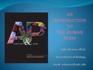 AN
INTRODUCTION
TO
THE HUMAN
BODY
 