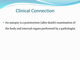 Clinical Connection
 An autopsy is a postmortem (after death) examination of
the body and internal organs performed by a pathologist.
 