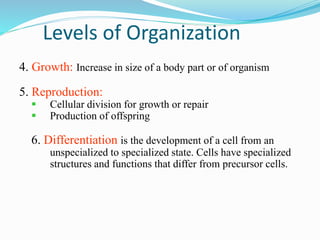 4. Growth: Increase in size of a body part or of organism
5. Reproduction:
 Cellular division for growth or repair
 Production of offspring
6. Differentiation is the development of a cell from an
unspecialized to specialized state. Cells have specialized
structures and functions that differ from precursor cells.
Levels of Organization
 