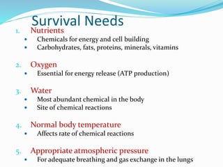 Survival Needs1. Nutrients
 Chemicals for energy and cell building
 Carbohydrates, fats, proteins, minerals, vitamins
2. Oxygen
 Essential for energy release (ATP production)
3. Water
 Most abundant chemical in the body
 Site of chemical reactions
4. Normal body temperature
 Affects rate of chemical reactions
5. Appropriate atmospheric pressure
 For adequate breathing and gas exchange in the lungs
 
