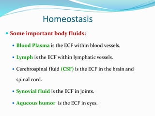 Homeostasis
 Some important body fluids:
 Blood Plasma is the ECF within blood vessels.
 Lymph is the ECF within lymphatic vessels.
 Cerebrospinal fluid (CSF) is the ECF in the brain and
spinal cord.
 Synovial fluid is the ECF in joints.
 Aqueous humor is the ECF in eyes.
 
