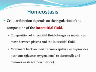 Homeostasis
 Cellular function depends on the regulation of the
composition of the interstitial fluid.
 Composition of interstitial fluid changes as substances
move between plasma and the interstitial fluid.
 Movement back and forth across capillary walls provides
nutrients (glucose, oxygen, ions) to tissue cells and
removes waste (carbon dioxide).
 