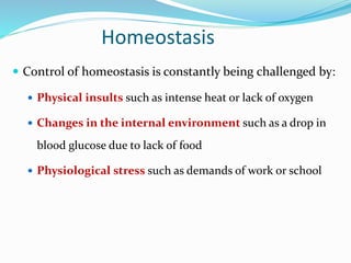 Homeostasis
 Control of homeostasis is constantly being challenged by:
 Physical insults such as intense heat or lack of oxygen
 Changes in the internal environment such as a drop in
blood glucose due to lack of food
 Physiological stress such as demands of work or school
 